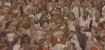 beachhorn