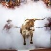 Hookem777