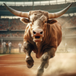 HookEm