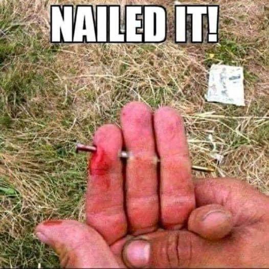 NAILEDIT.jpeg.44ebc814ac10aa386a774abd1b0b3b7c.jpeg