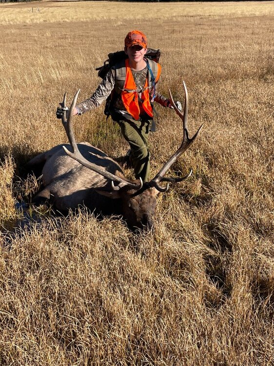 J elk 6.jpg