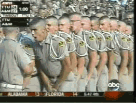 image.gif.f095bcc59f8c3db51e84c7a691330850.gif