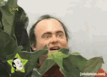 image.gif.f3eb48dea1ee5e7d8a44c0425426f2d9.gif
