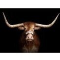 Ambassador of Texas