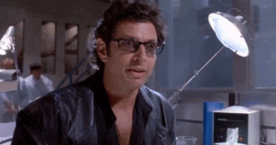 giphy.gif.c6e2e517494b78d54e696ba13c662cc4.gif