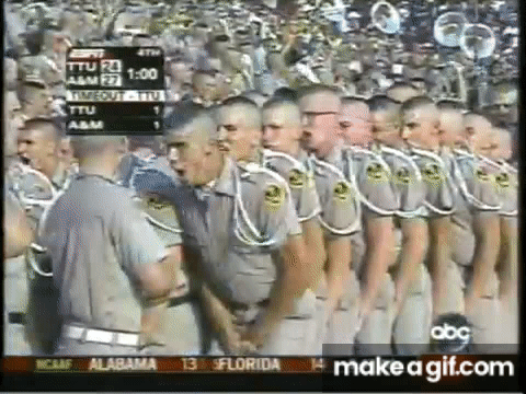 image.gif.623c9e20595253719dc7cea37f763143.gif