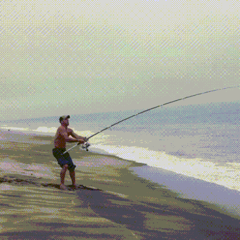 image.gif.7cf9205dedd484ba88452ed8a812cf85.gif