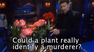 image.gif.144a517ba7ec42e6e2e669a73cbfb148.gif
