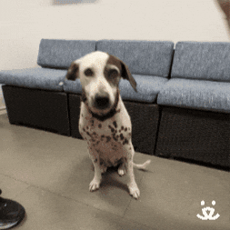 image.gif.7566fcd33e8c557a46fb02c972d8af1b.gif