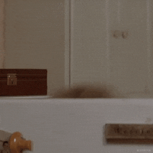 image.gif.b8aceac0dabc409ac181fe5a053275e3.gif
