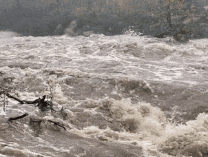 image.gif.c66f0a9dca20b572ecb975cf5239bde3.gif