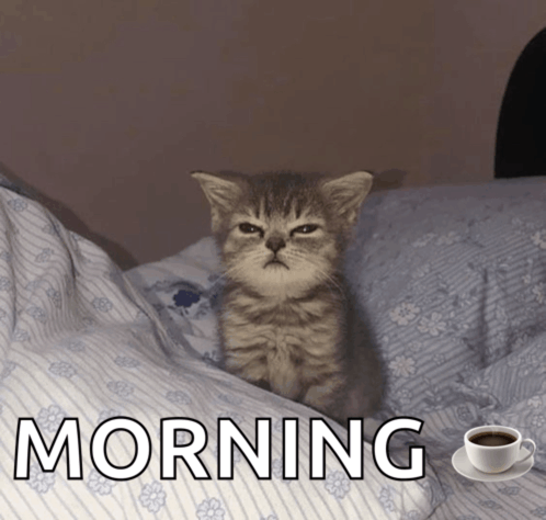 image.png.c389cd78c5b5744c5fdb0073320c08a0.png