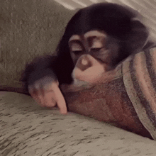 stan-twitter-monkey.gif.6dd714973c57587916db4123fdfbd85a.gif