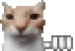 waiting-cat.webp.0982446482e0e100215909efc75686c9.webp