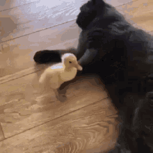 image.gif.9d359f418337674b21b5f20d2cc568b8.gif