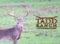 Tadd