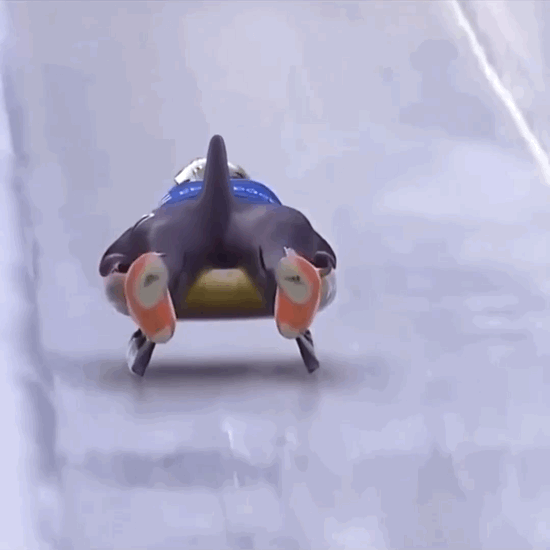 IMG_0170.gif.9b97b4c8e7acb72761be385be7a9e0cd.gif