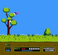 IMG_1082.gif