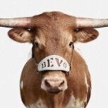 Liam S